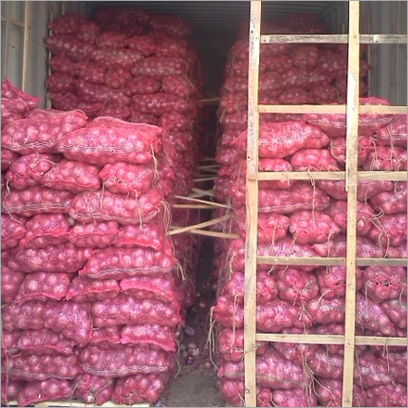 Fresh Red Onion