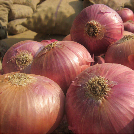 Onion