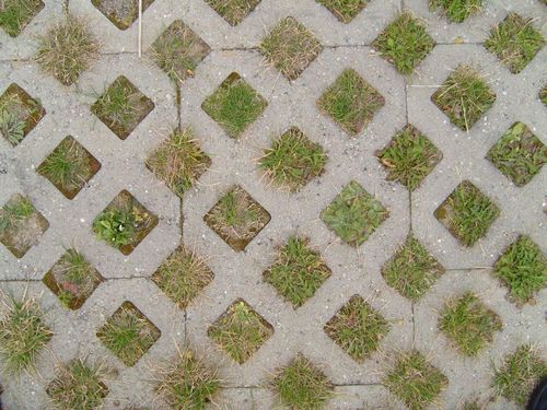 Concrete Grass Pavers