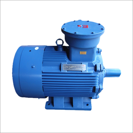 Single Phase Synchronous Motor