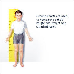 Embossed Height Chart