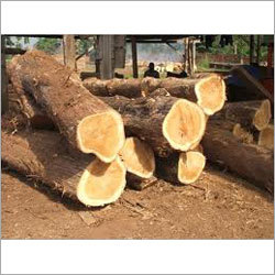 Timber