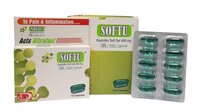 Soft Gelatin Capsules
