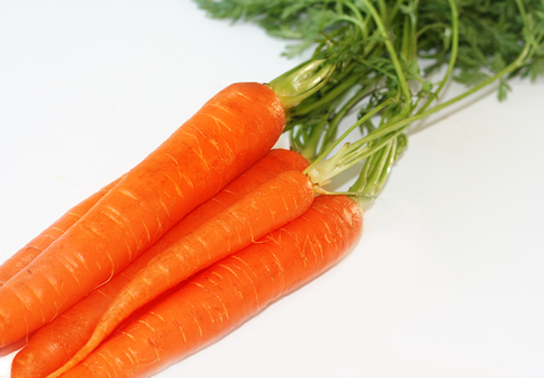 Carrot