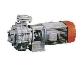 KDT Two Stage Monoblock Pump
