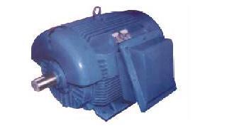 SPDP Electric Motors