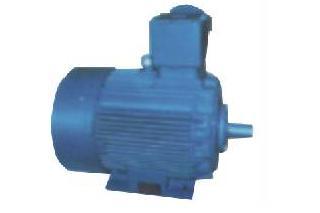Flame Proof Electric Motors
