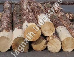 Timber Logs