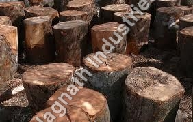 Mango Wood