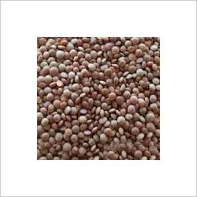 Greenplanet Pulses