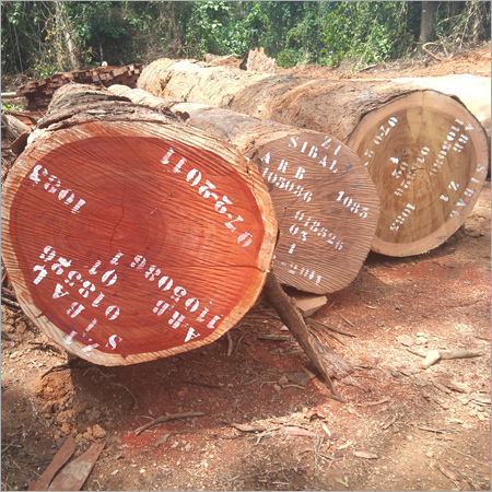 Timber Plank