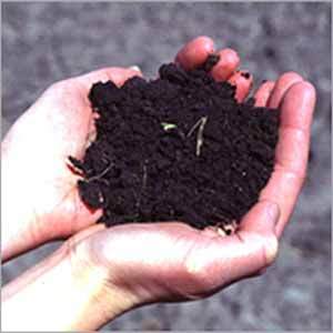Bio Compost Soil Meals