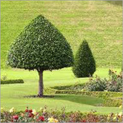 Garden Development Services