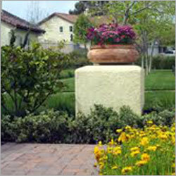 House Garden Maintenance Services