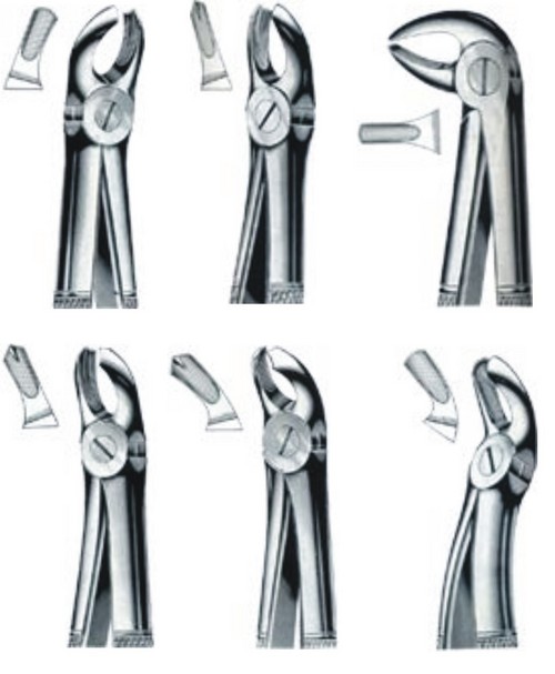 Dental Extracting Forceps