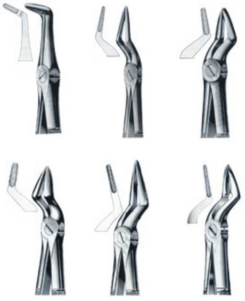 Dental Extracting Forceps