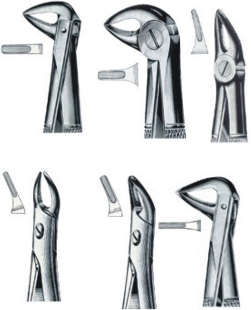 Dental Extracting Forceps