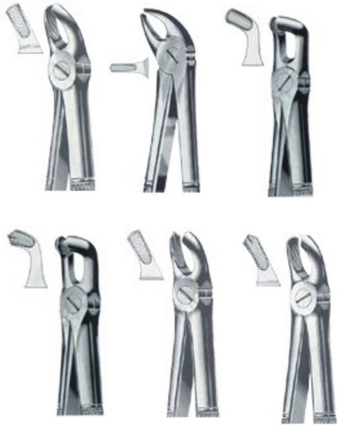 Dental Extracting Forceps