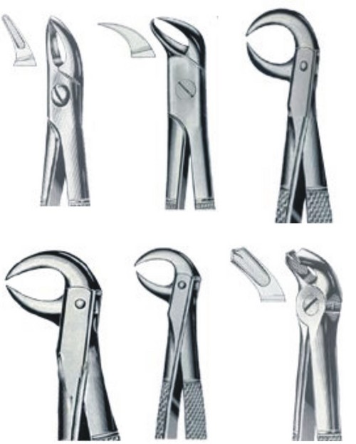 Dental Extracting Forceps