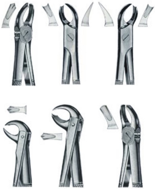 Dental Extracting Forceps