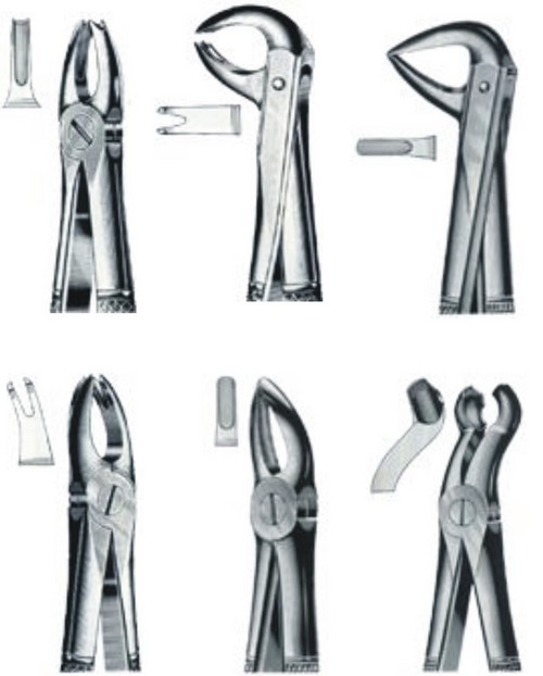 Dental Extracting Forceps