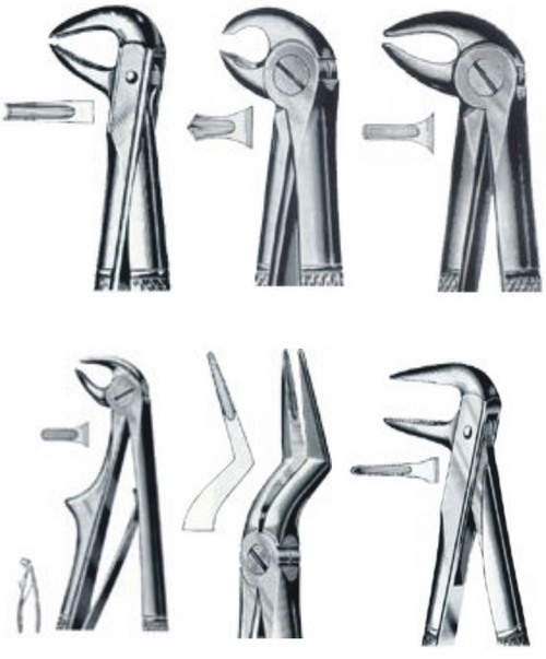 Dental Extracting Forceps