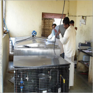 Milk Being Cooled in Cooler