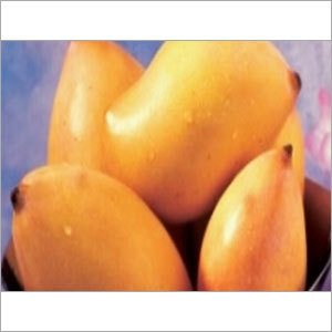 Totapuri Mango Pulp Puree