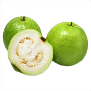 White Guava Puree Concentrate