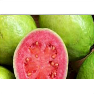 Pink Guava Pulp - Puree Natural