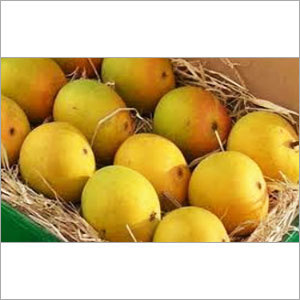 Alphonso Mango Pulp - Puree