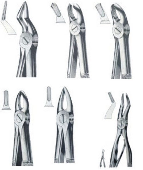 Dental Extracting Forceps