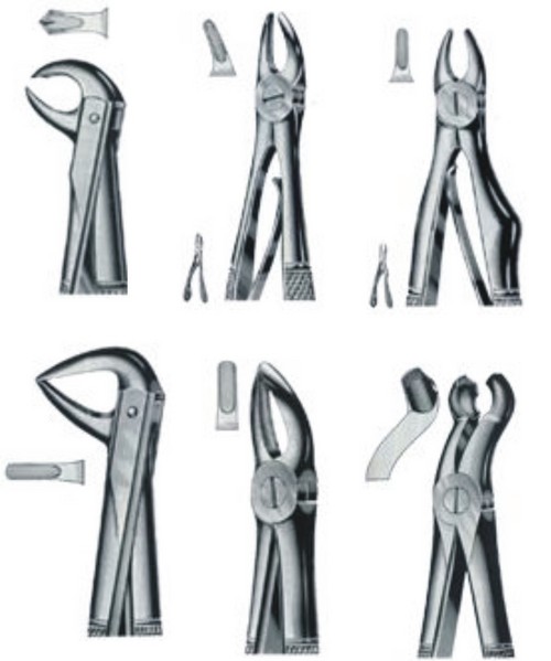 Dental Extracting Forceps