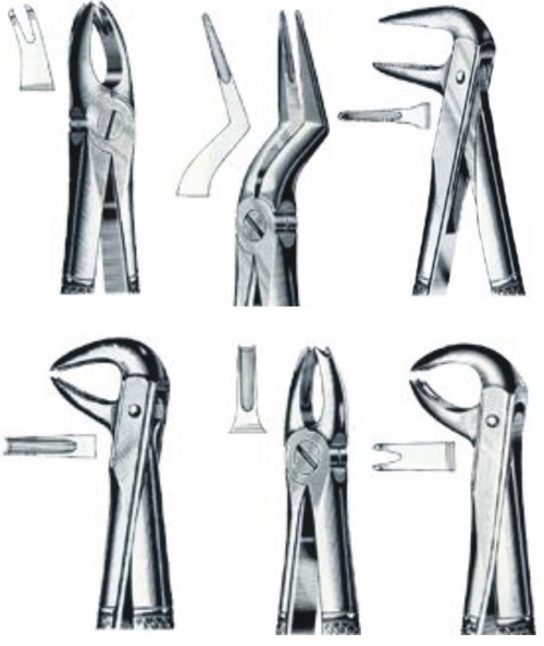 Dental Extracting Forceps