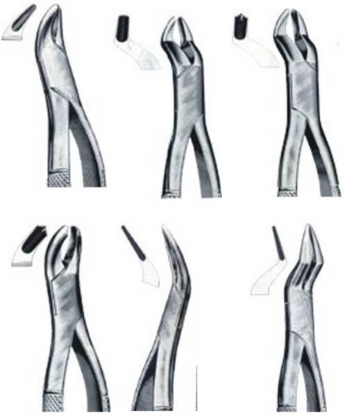 Dental Extracting Forceps