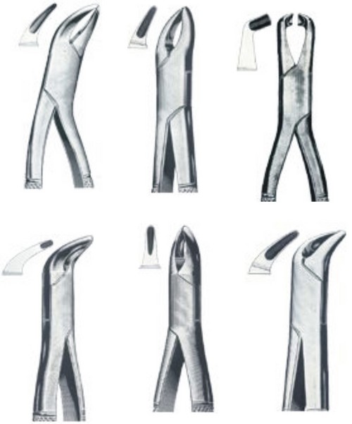 Dental Extracting Forceps