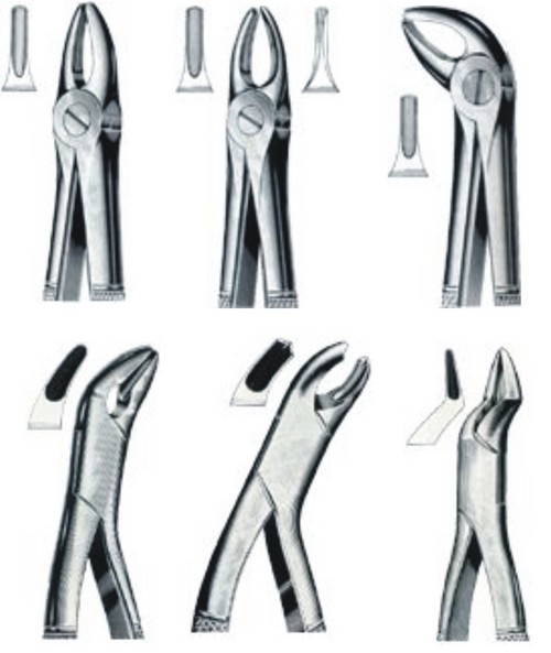 Dental Extracting Forceps