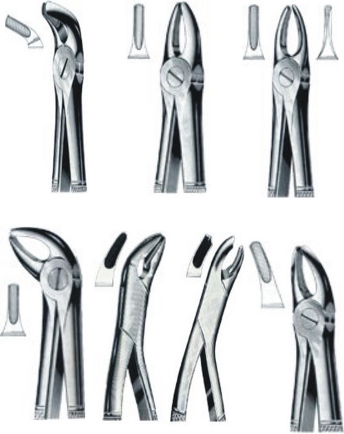 Dental Extracting Forceps