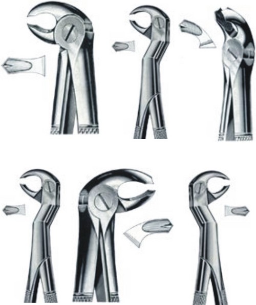 Dental Extracting Forceps
