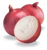 Red big onion