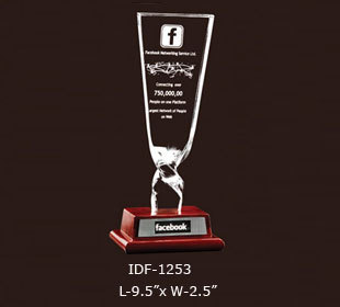 The Face Book Award