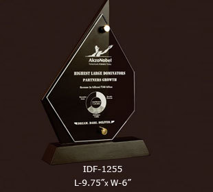 Ackzonoble Award - Acrylic & Wood, 9.75"x6", Black | Elegant Design, Customizable, Corporate Recognition Trophy