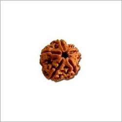 Rudraksha
