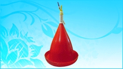 Poultry Drinking Systems