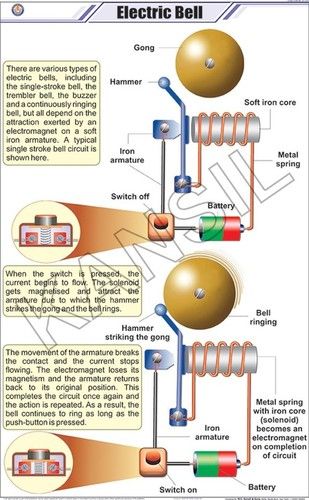 Electric Bell Chart Dimensions: 58 A  90  Centimeter (Cm)