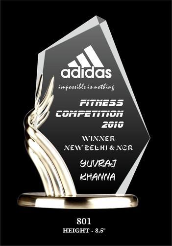 Ewi 801 - Acrylic Metal Trophy 8.5" Black, Polished Finish | Customizable Award Recognition Gift