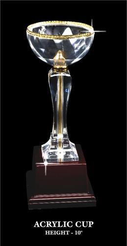 EWI ACRYLIC CUP.