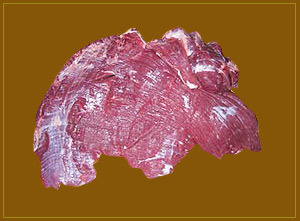 brisket