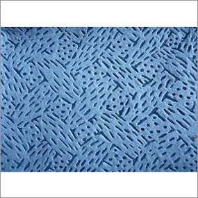Cleanroom Wiper