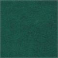 Sea Green Non Woven Fabric